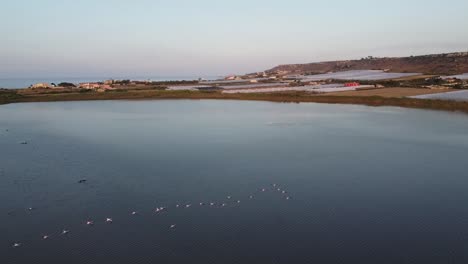 Clip-De-Drones-Desde-Arriba-De-Flamencos-Rosas-Volando-Sobre-Las-Aguas-De-La-Reserva-Natural-De-Vendicari,-Sicilia,-Italia