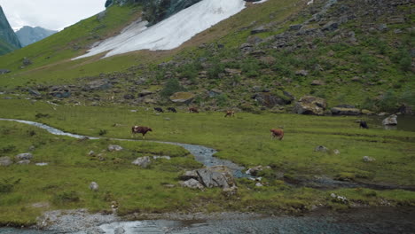 un impresionante valle con vacas y un lago encantador