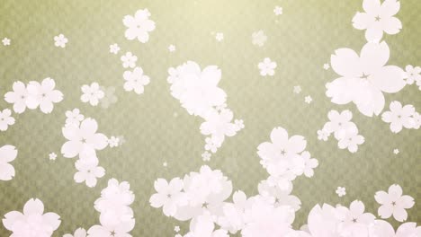 sakura - flor de cerezo - estilo japonés [bucle]