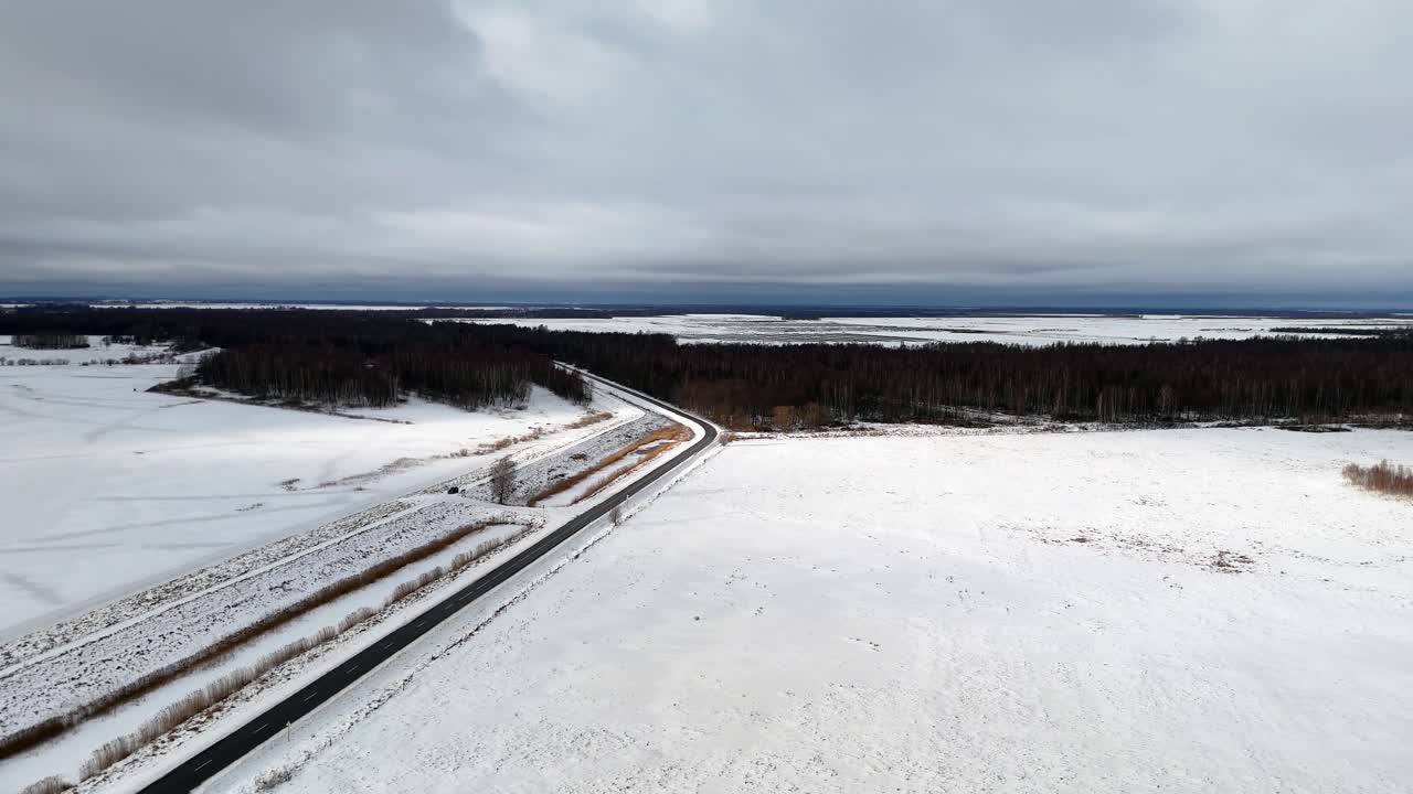 눈으로 인 겨울의 숲에서 구름을 통해 쳐다보는 작은 빛 광선