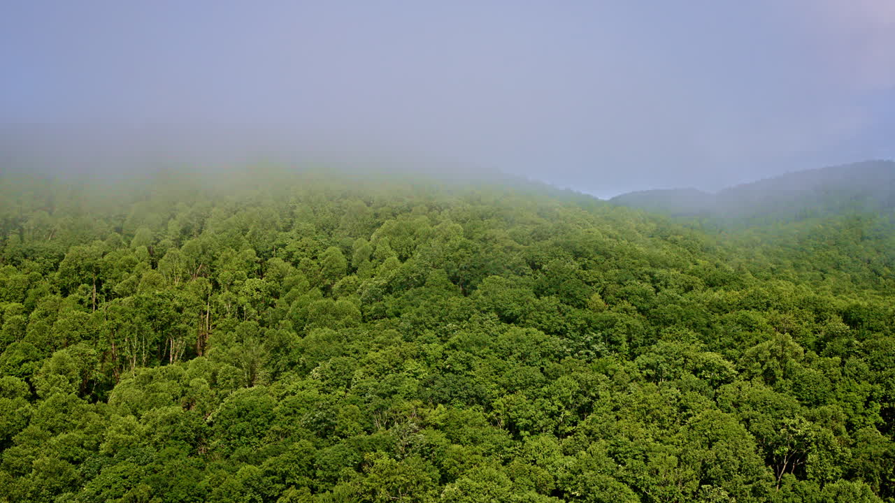Majestic drone footage of mist filling valleys in the Smoky Mountains