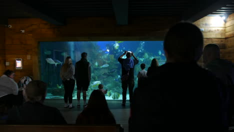 a group in front of a large aquarium, watching vibrant fish and a scuba diver explore the aquatic environment from a viewing area