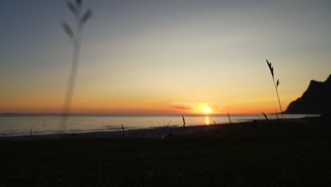 Close-up-of-grass-with-the-sun-and-mountains-in-the-background-at-Uttakleiv-beach-during-the-midnight-sun-in-Lofoten,-Norway