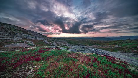 nubes tormentosas oscuras giratorias iluminadas por el sol rojo que se pone flotan sobre el colorido paisaje de la tundra de otoño