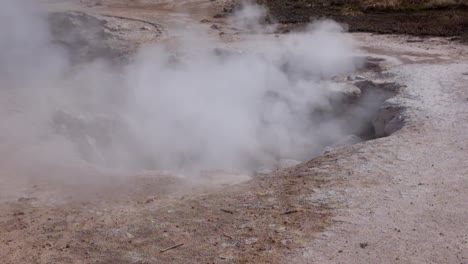 steam pouring from craters in yellowstone national park