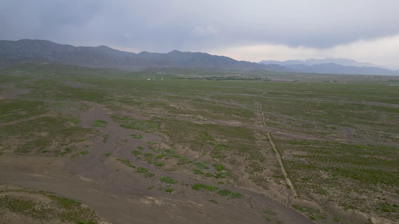 зеленая пустыня в пактии