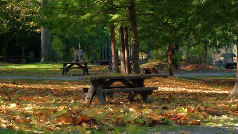 Mesa-De-Picnic-En-Un-Parque-Rodeado-De-árboles-Y-Hojas-Caídas-Durante-El-Día