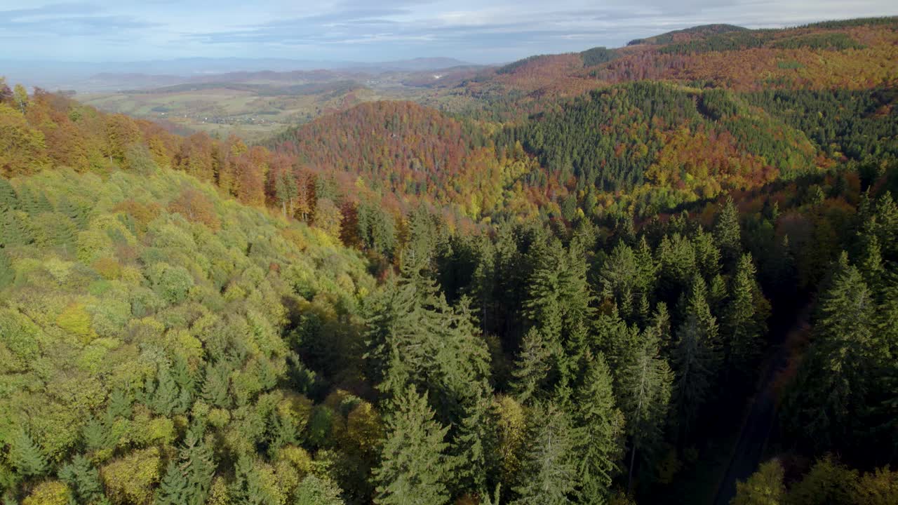 fotografía aérea del bosque de montaña en otoño