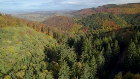 Toma-Aérea-Descendente-Del-Bosque-De-Montaña-En-Otoño