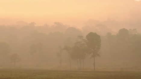 Horas-Doradas-De-La-Mañana-Cuando-Sale-El-Sol-En-Thung-Kamang-En-El-Santuario-De-Vida-Silvestre-De-Phu-Khiao-En-Tailandia