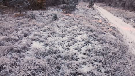 flying over a glade with grass and shrubs covered with hoarfrost