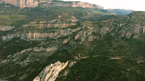 Vegetación-Rocosa-Que-Cubre-Las-Rocas-De-Montaña-De-Cataluña-España