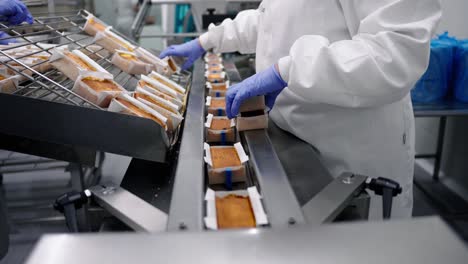 confectionery and bakery industry preparing dough and pastries