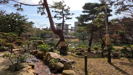 camera rises from underwater to reveal a serene garden