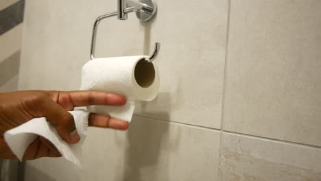 person taking toilet paper