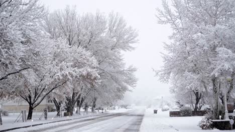 a beautiful winter suburban road in a small neighborhood in the usa