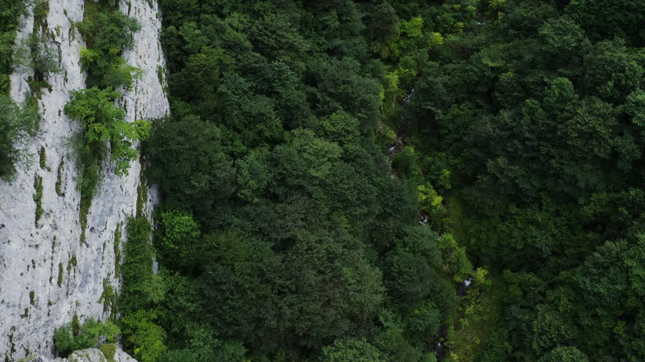 valle de montaña con arroyo y acantilado