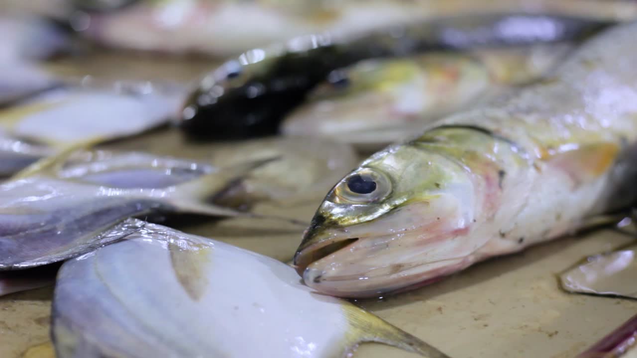 primer plano de peces muertos a la venta en el mercado de pescado tradicional