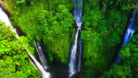 lush tropical rainforest canyon with cascading fiji waterfall, lemukih