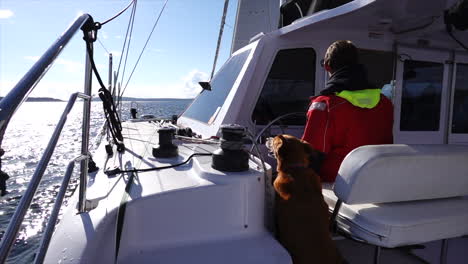 caucasian man and his dog sit at the helm of a catamaran navigating the waters near the san juan islands