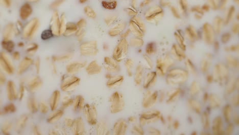 close-up of oatmeal with milk