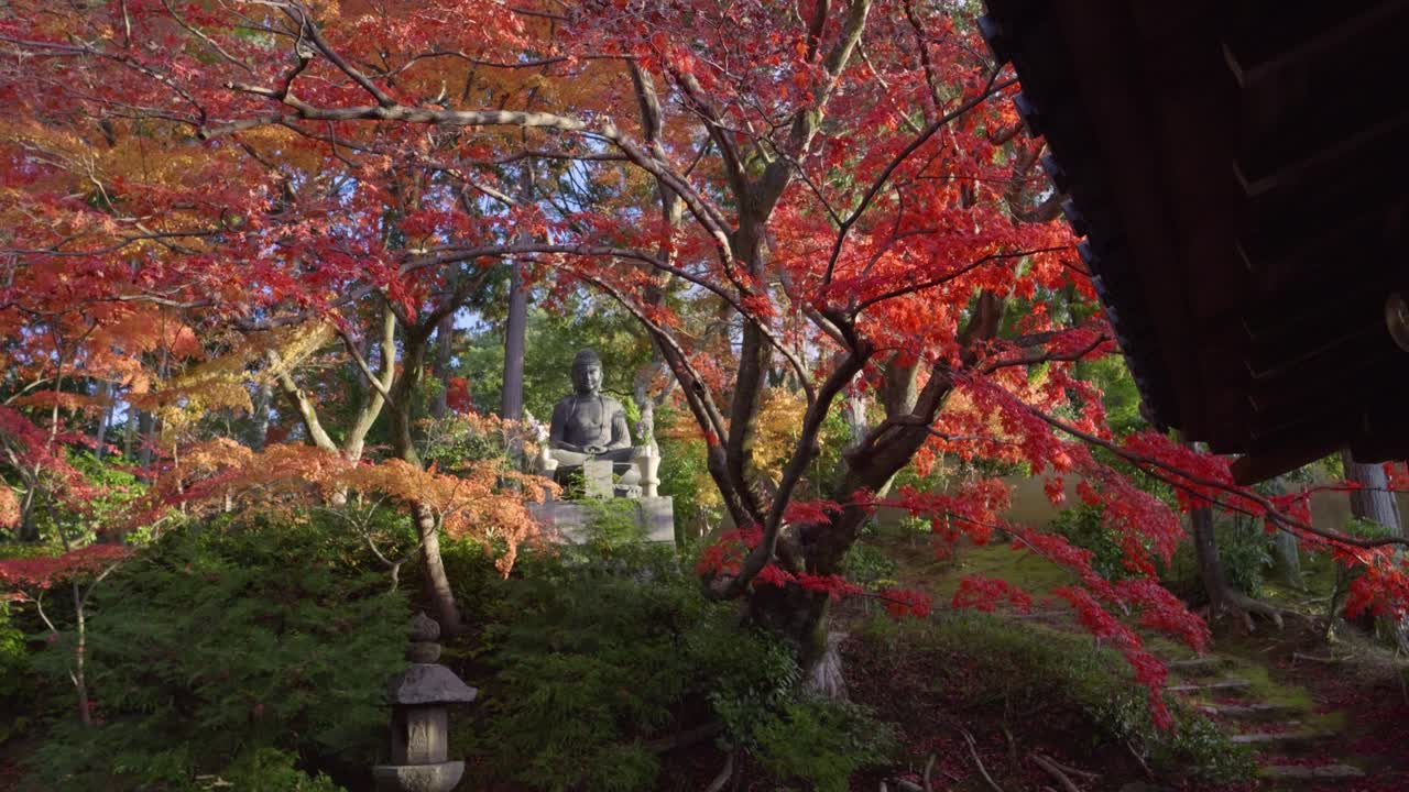 movimiento lento empujar hacia la estatua de buda durante los colores de otoño en el templo japonés