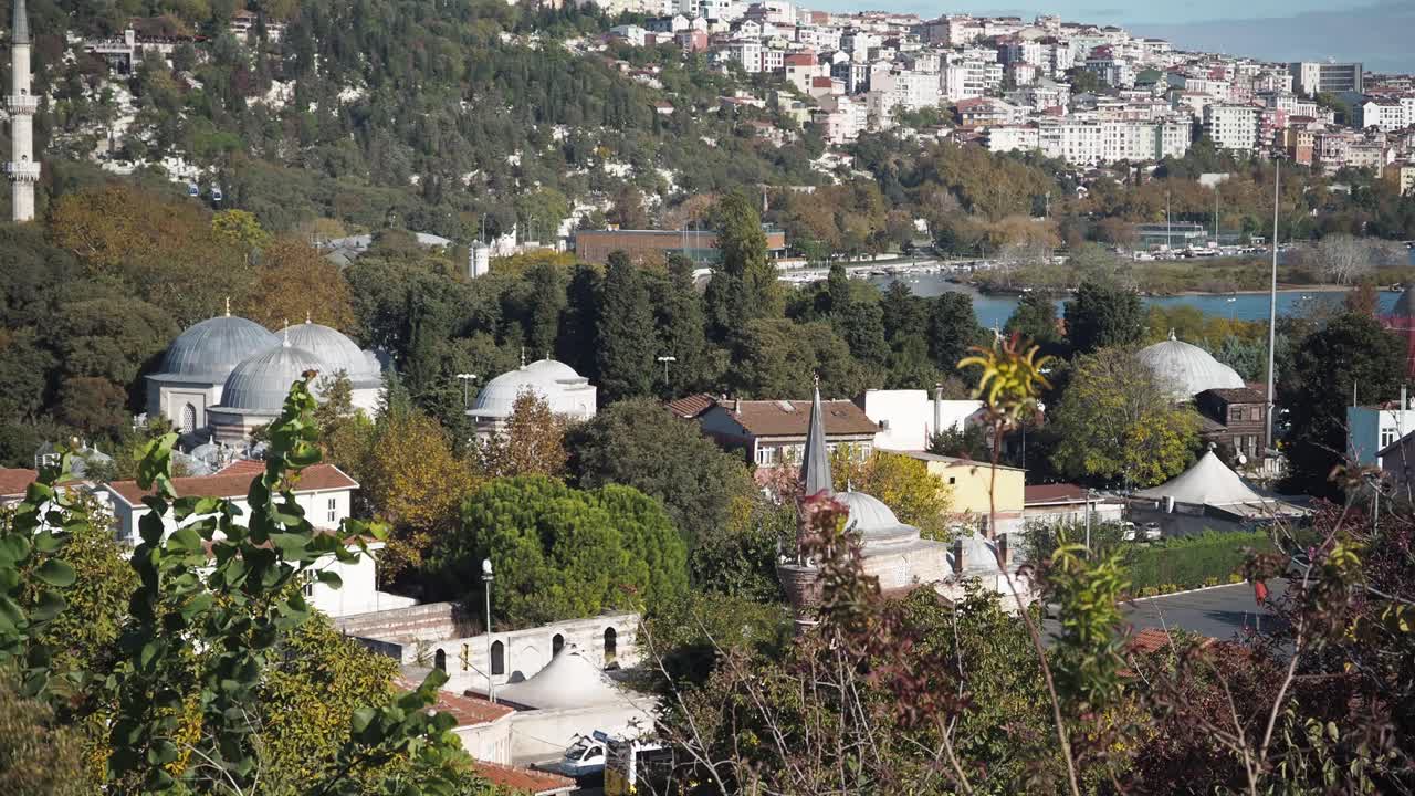Cityscape with Buildings, Trees, and Mosque