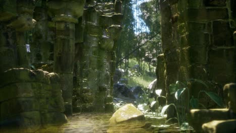 casa de piedra antigua en ruinas cubierta de plantas y helechos en un denso bosque verde