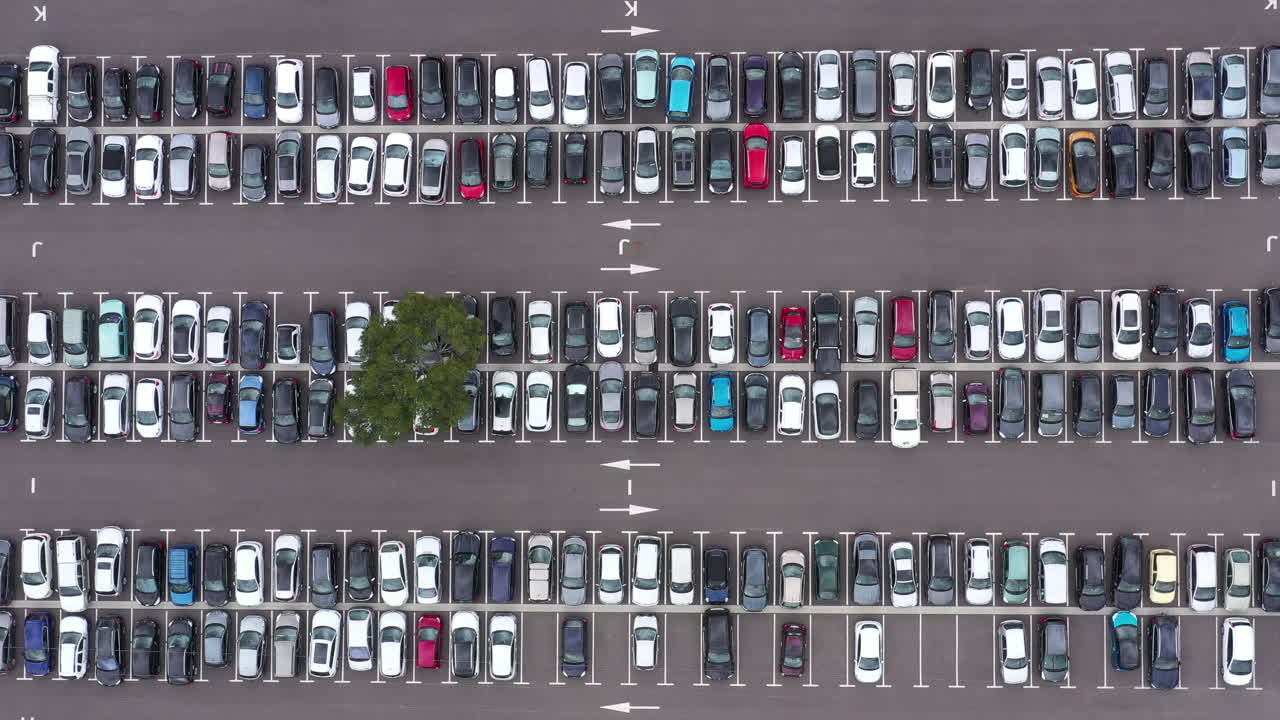 자동차로 가득 찬 주차장 한가운데의 한 나무 프랑스 공중 드론