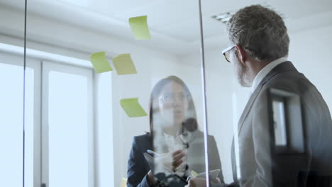 Female-project-leader-and-male-executive-discussing-project