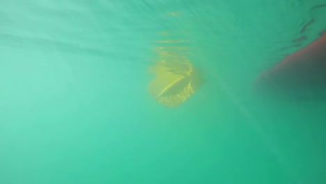 remando un bote en el río 4k