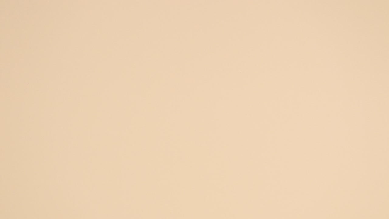 las hojas de palma tropical verdes y doradas aparecen en el fondo desnudo.