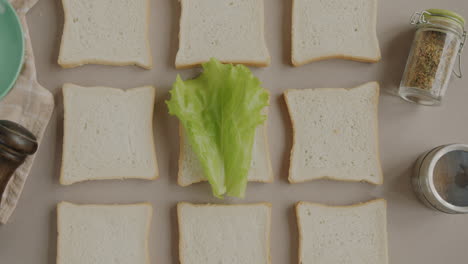 preparing a sandwich with lettuce