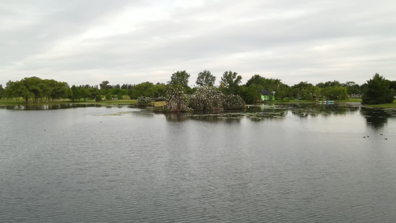 자연으로 둘러싸인 나무 위에 쉬고 있는 백로 무리로 뒤덮인 중앙에 작은 섬이 있는 호수를 가로질러 날아가는 돌리 아웃