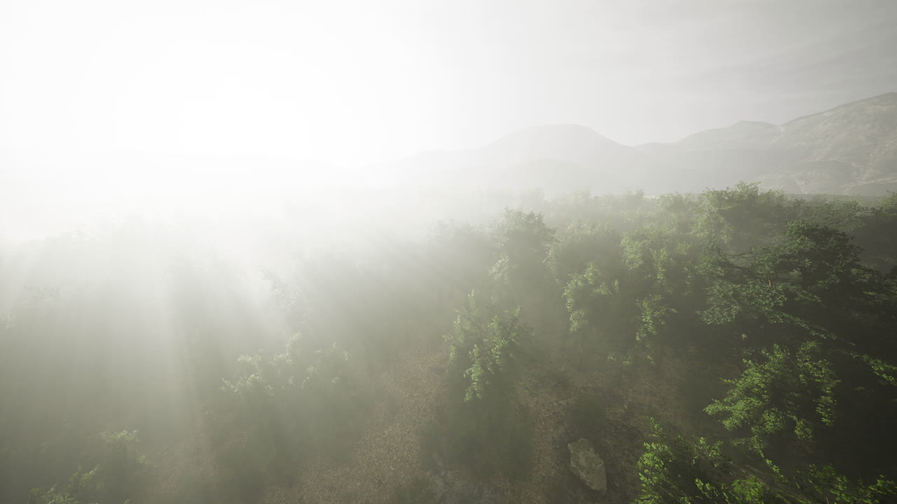 Misty dawn over lush green hills creating a serene and tranquil atmosphere