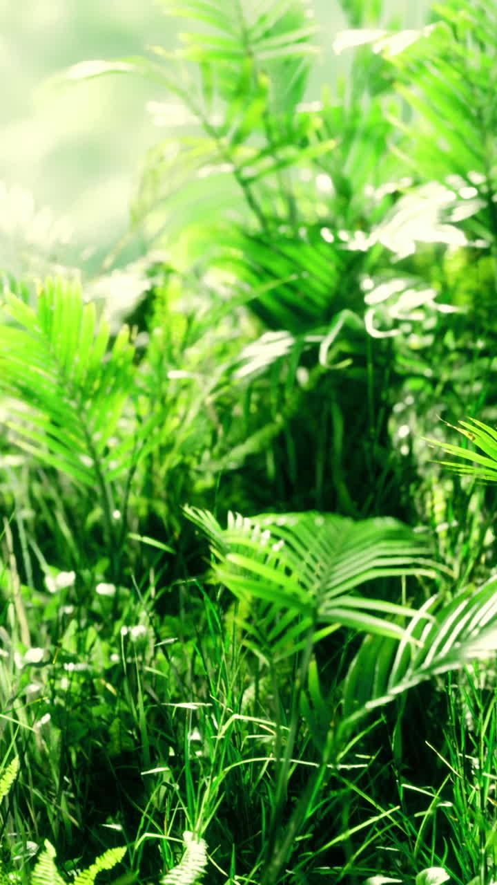 Lush green foliage in a vibrant forest setting during daylight hours