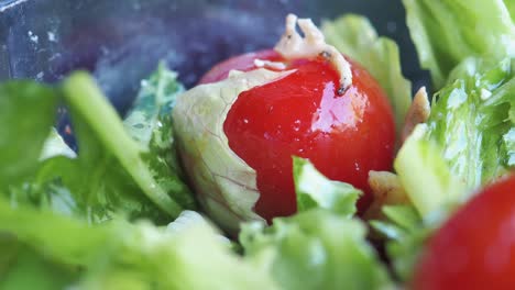 close up of a salad with cherry tomatoes, green leaves and salad dressing