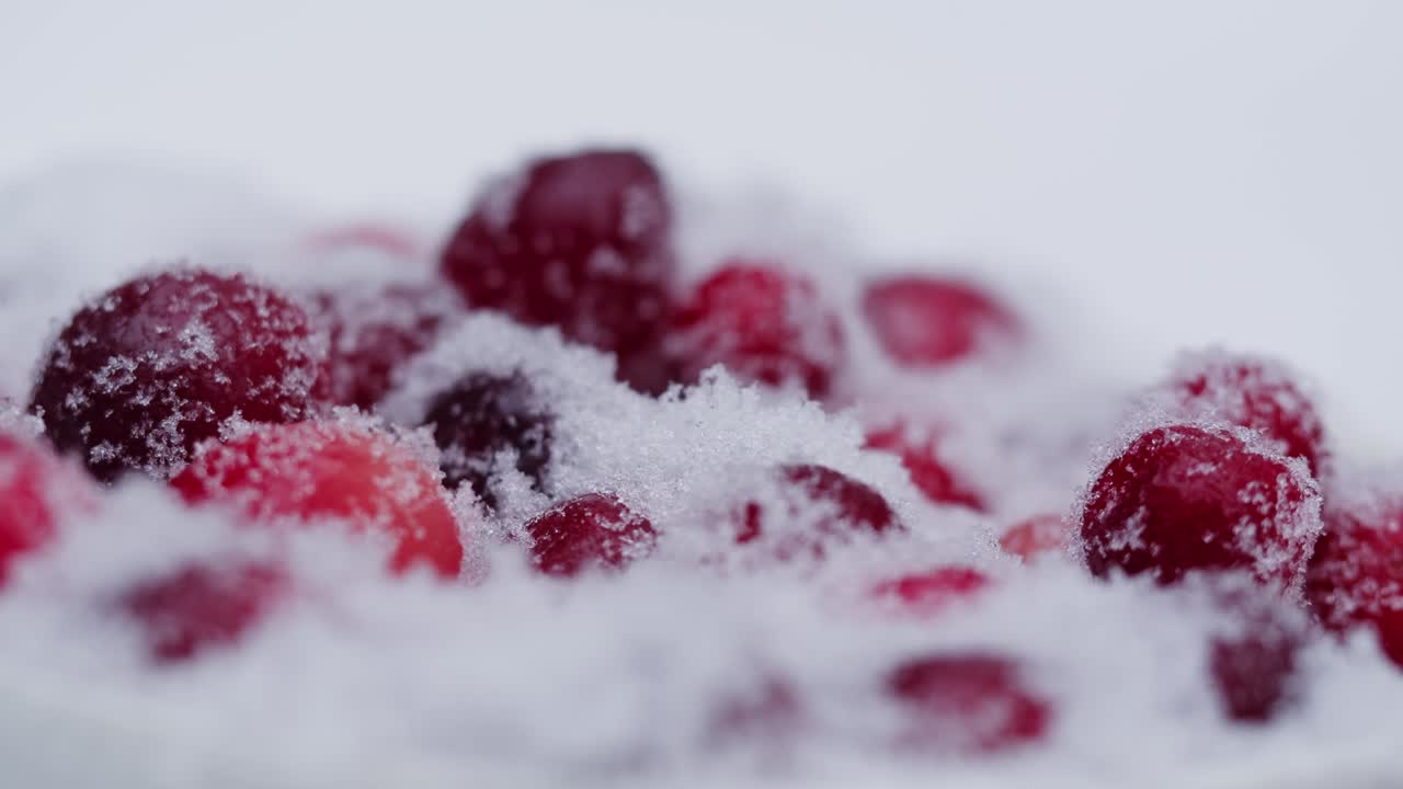 눈으로 인 냉동 크랜베리