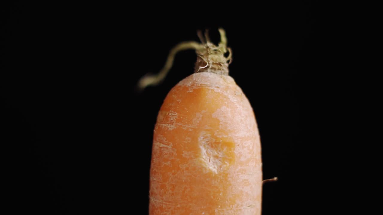Close up view of the top side of the Carrot in a black screen