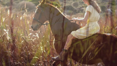 woman riding a horse in the fields