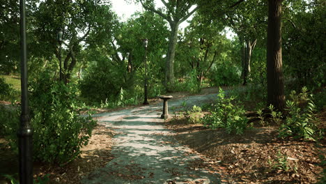 Empty-bike-way-in-forest-park