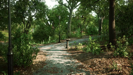 empty bike way in forest park