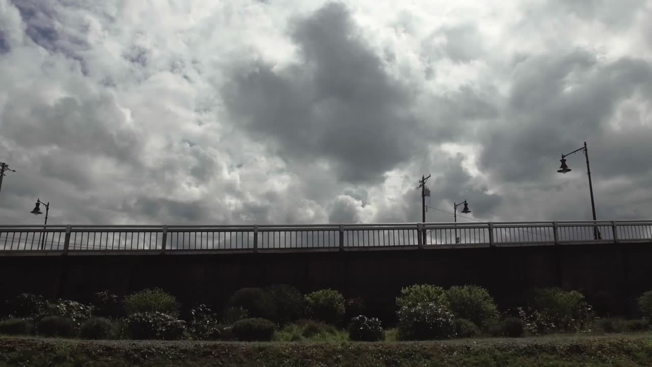 워싱턴주 타코마 항구에 있는 11번가 교량의 롤링 뷰, 부분적으로 흐리고 푸른 잔디, 콘크리트 기둥