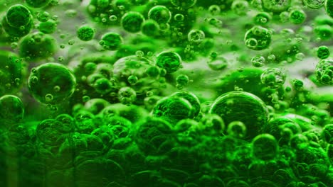 macro shot of a bunch of green bubbles in water moving constantly