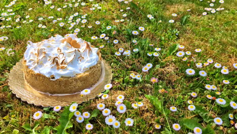 Primer-Plano-De-Un-Delicioso-Pastel-Colocado-Sobre-Un-Macizo-De-Flores-De-Margaritas