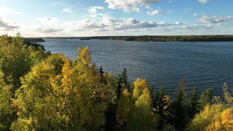 drone over autumn forest, in stockholm and norrtäljeviken, windy day