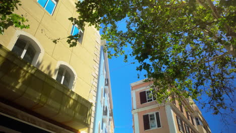 mirando hacia arriba a los coloridos edificios en gibraltar enmarcados por árboles verdes contra un cielo azul brillante