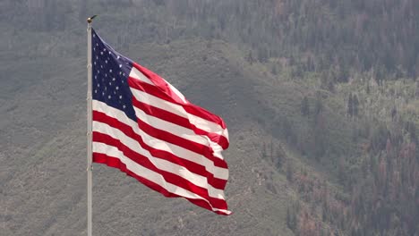 close up of large american flag waving in the wind the san juan mountains in background