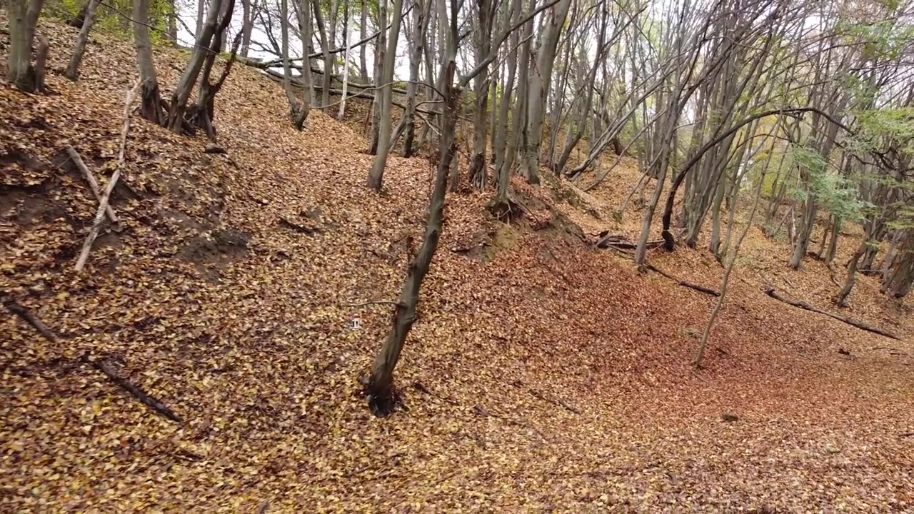Parque de outono em novembro