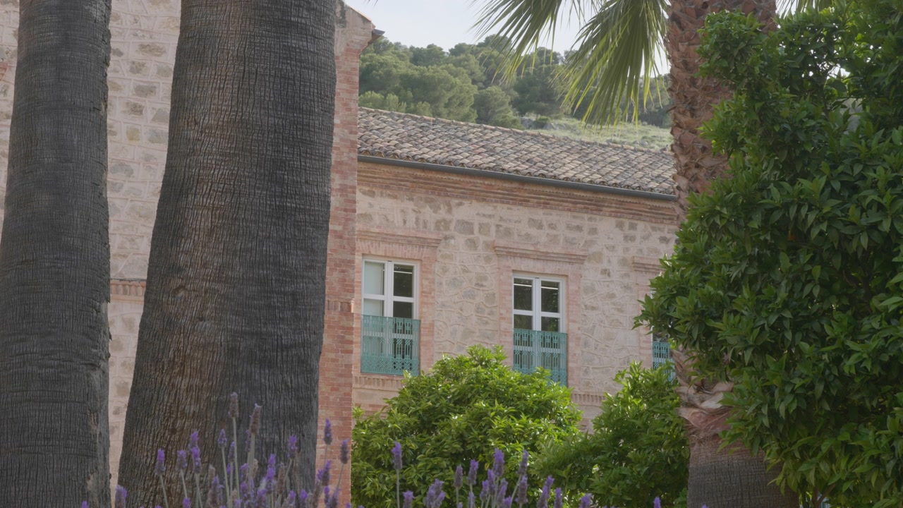 Facciata in pietra, finestre verdi classiche e balconi in ferro, parzialmente incorniciati da tronchi di palma, rigogliosi alberi d'arancio e fiori di lavanda viola in fiore in primo piano.